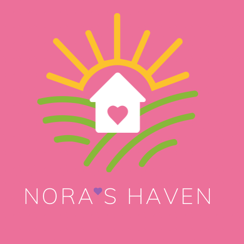 Nora's Haven 2nd Annual Fundraiser - Silent Disco